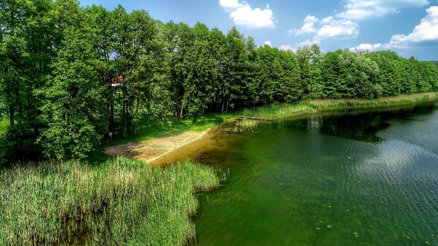 Jezioro Chłop koło Pszczewa