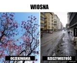 Wiosna w krzywym zwierciadle. Zobaczcie najśmieszniejsze MEMY!