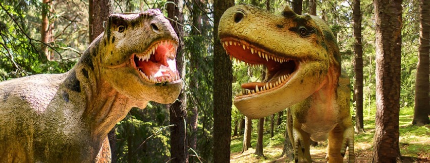 Dinozaury jak prawdziwe. W Szklarskiej Porębie spędzisz rodzinny czas w towarzystwie prehistorycznych gadów