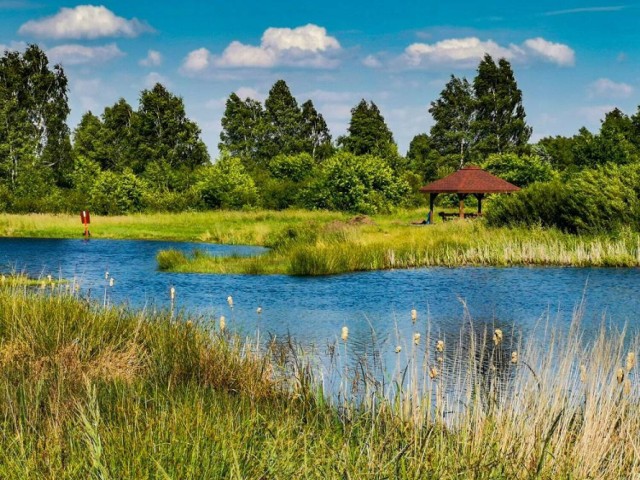 Klimatyczny zakątek z plażą tuż pod Częstochową. Są tu leżaki, grill i altana!