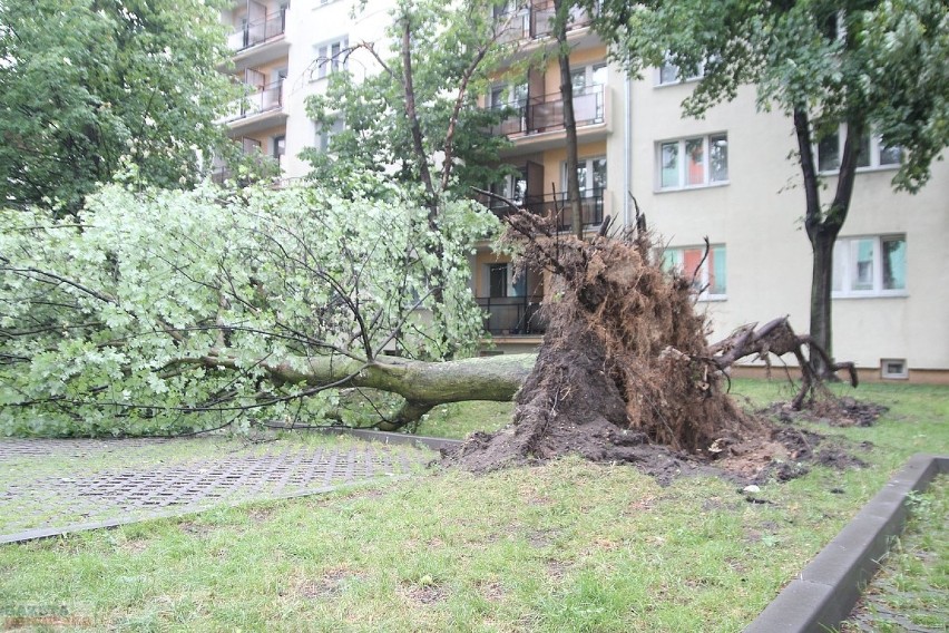 Krótka, aczkolwiek gwałtowna ulewa zaatakowała też...