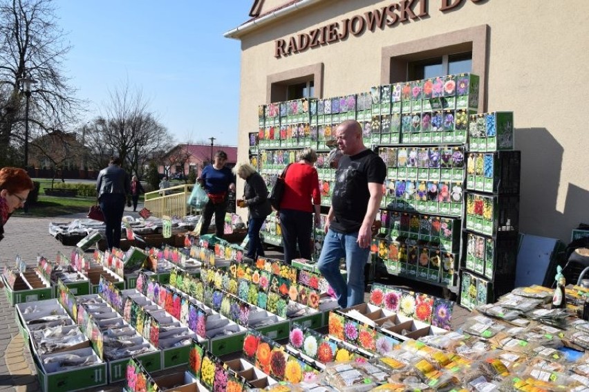 Radziejowski Dom Kultury oraz GOK w Czołowie zorganizowali...