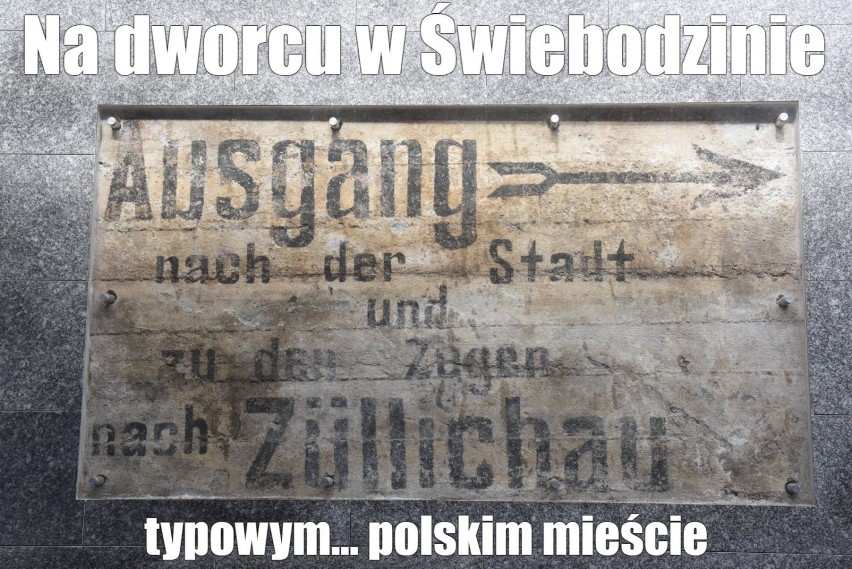 MEMY o Świebodzinie