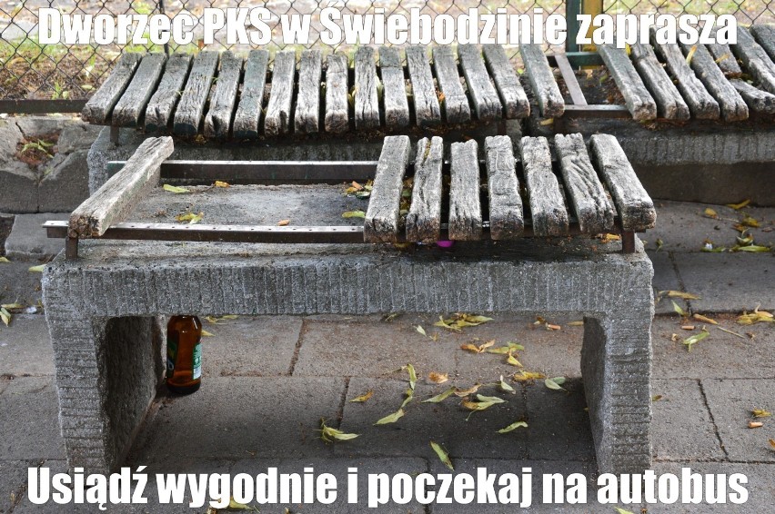 MEMY o Świebodzinie