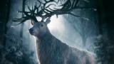 "Shadow and Bone". Netflix zapowiada serial na podstawie książek "Shadow and Bone" oraz "Six of Crows". Kiedy premiera?