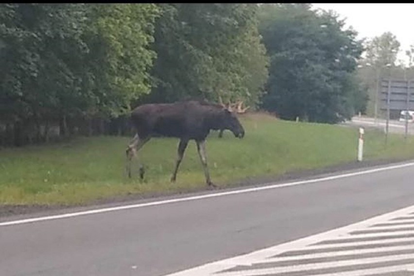 Widoki jak z kultowego serialu "Przystanek Alaska"....