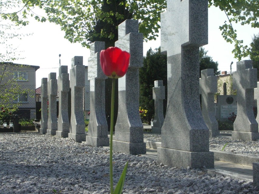 Historia cmentarza przy ul. Raszkowskiej w Krotoszynie...