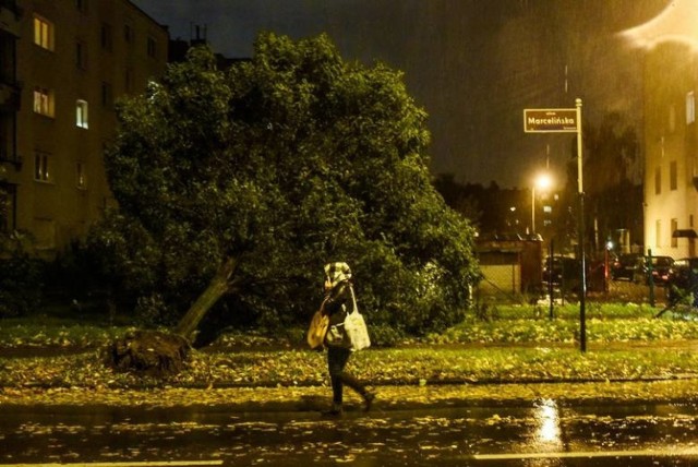 Kolejna wichura w Wielkopolsce i Poznaniu. Nadchodzi orkan Grzegorz!