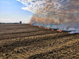 Powiat pucki: pomimo ostrzeżeń i próśb strażaków, w samym kwietniu 2020 doszło już do 6. incydentów | NADMORSKA KRONIKA POLICYJNA