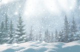 Boże Narodzenie 2023. Jaka będzie pogoda w Nowym Mieście Lubawskim? Czy będzie śnieg?
