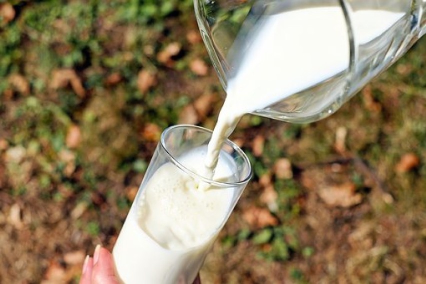 Mleko 2 proc. 2,62 zł/l - spadek 1,9 proc. (2,67 zł)