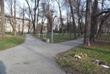 Planty Kolejowe w Tarnowie do rewitalizacji. Niewielki park w centrum miasta odstrasza, ale ma się stać wizytówką