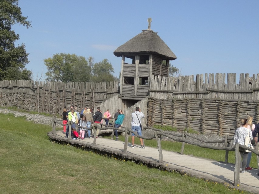 Muzeum Archeologiczne w Biskupinie  jest czynne od...