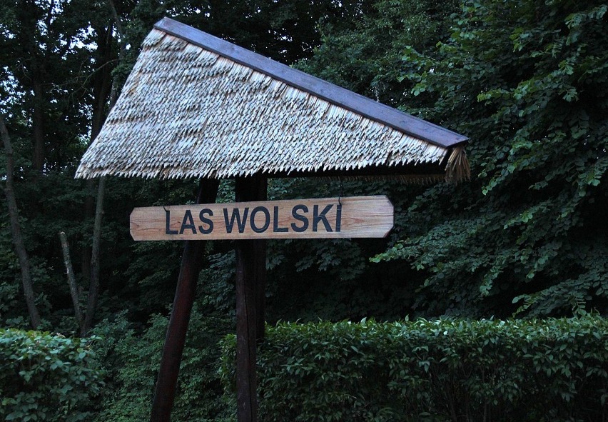 Niesamowity szlak, czyli spacer po Lasku Wolskim w Krakowie [ZDJĘCIA]