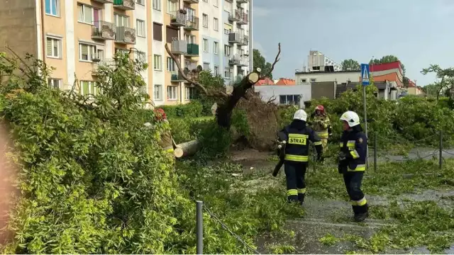 20 czerwca w godzinach popołudniowych nad Gorzowem przeszła ulewa z silnym wiatrem