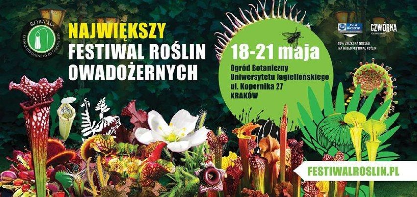 CZWARTEK, 18 MAJA 2017 - NIEDZIELA, 21 MAJA 2017
Ogród...