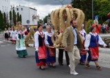 Dożynki wojewódzkie w Świeciu już za nami! [zdjęcia]