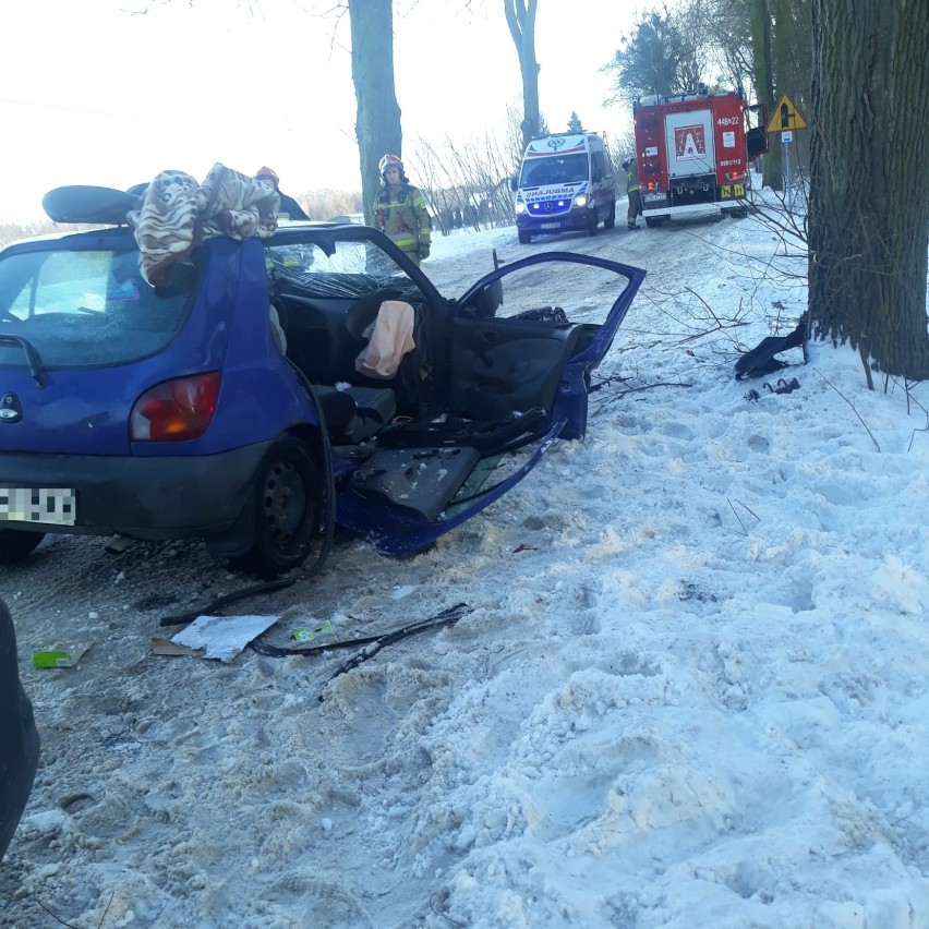 Wypadek pod Grudziądzem. Samochód uderzył w drzewo. Jedna osoba jest w ciężkim stanie