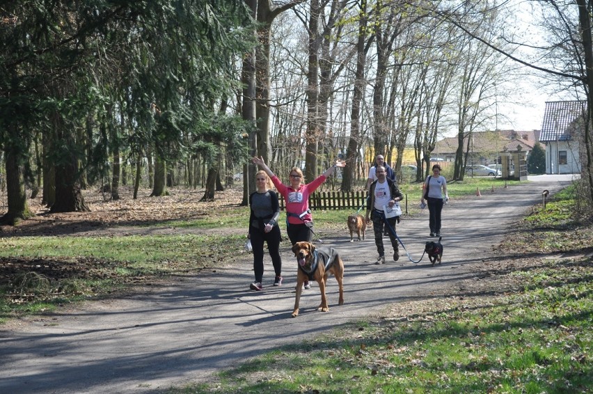 Wielkopolski Dogtrekking na Łęgach Mechlińskich już po raz...