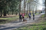 Wielkopolski Dogtrekking na Łęgach Mechlińskich: ruszyła rejestracja na tegoroczną imprezę