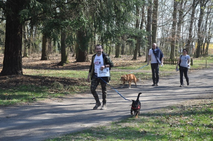 Wielkopolski Dogtrekking na Łęgach Mechlińskich już po raz...