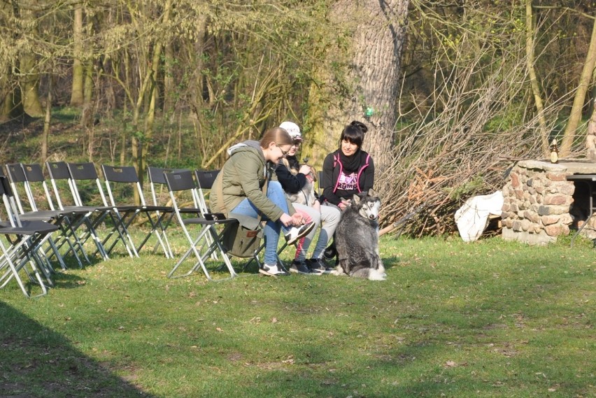 Wielkopolski Dogtrekking na Łęgach Mechlińskich już po raz...