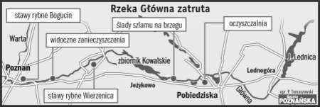 Marek Grotowski pyta, czy tak powinna wyglądać woda w rzece. - Fot. R. Domżał