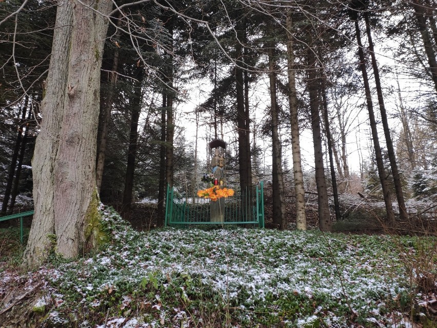 Lipna - wieś w Gorlickim, o której było  głośno w całym kraju, dzisiaj wchłonął ją las [GALERIA]