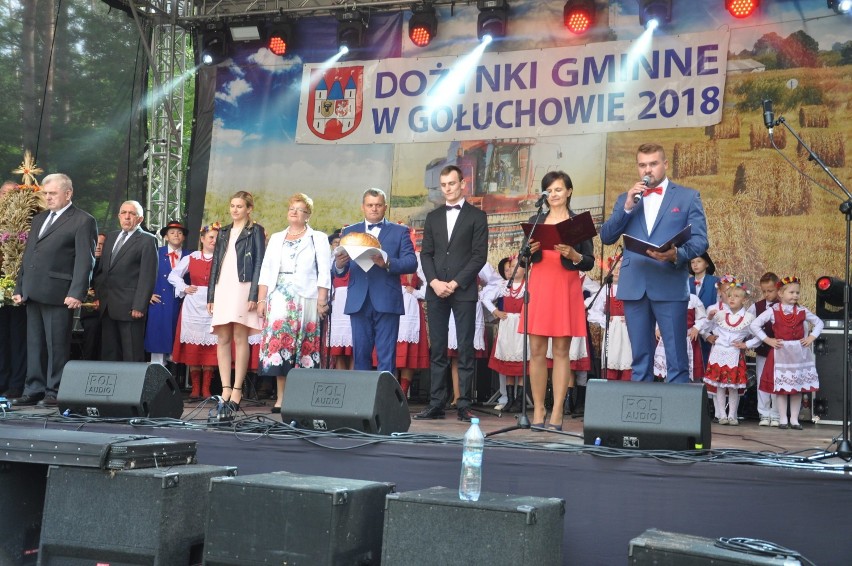 Dożynki w gminie Gołuchów. Święto plonów na terenie Gołuchowskiego Ośrodka Turystyki i Sportu! [ZDJĘCIA]