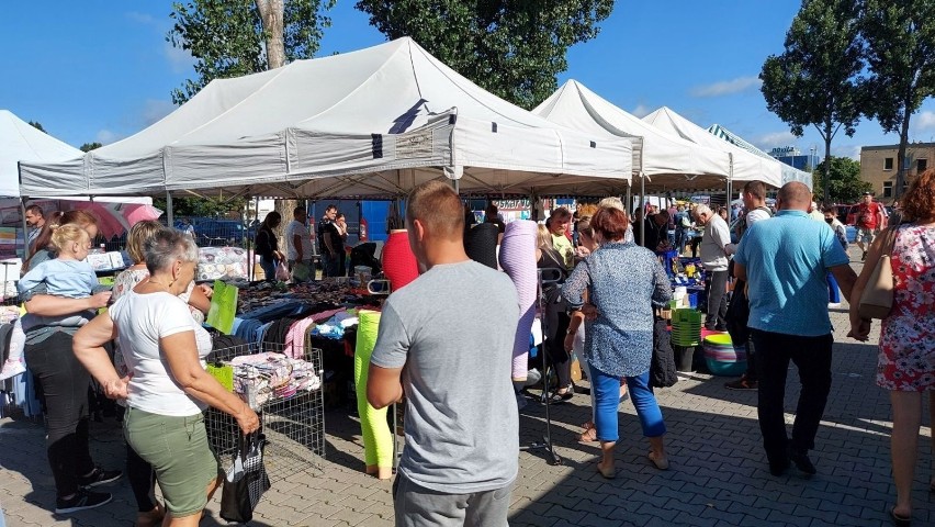 Giełdę w Zielonej Górze odwiedzają tysiące ludzi. Skuszonych...