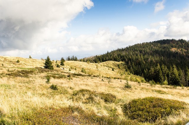 Warunki pogodowe - Barania Góra, Beskid Śląski