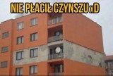 Łowcy absurdów w akcji! Musicie to zobaczyć! [ZDJĘCIA]