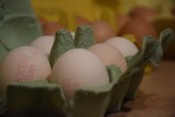 Jak kupować jajka? Co oznaczają cyfry i litery?