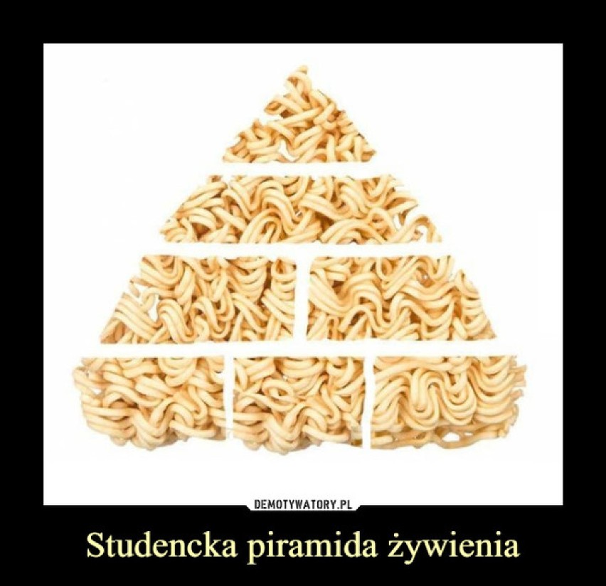 Alarm, zaraz wracają! Zobacz memy o studentach i ze studentami w rolach głównych!