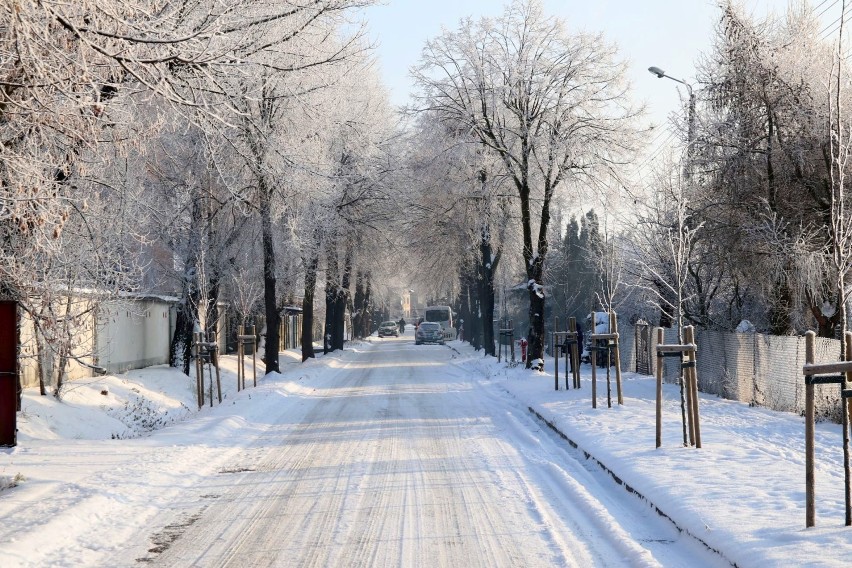  Prognoza pogody w Wieluniu na weekend 6-7 lutego. Czy spadnie śnieg?