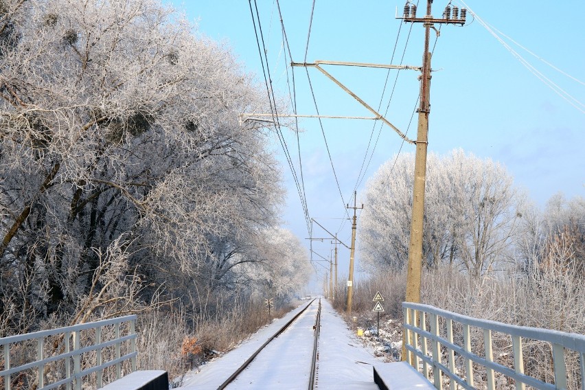  Prognoza pogody w Wieluniu na weekend 6-7 lutego. Czy spadnie śnieg?