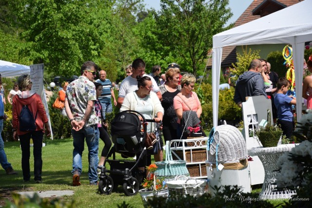 Majówka u Pudełka w Iłowej