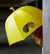 Z tymi parasolami nawet deszczowy dzień będzie wesoły [ZDJĘCIA]