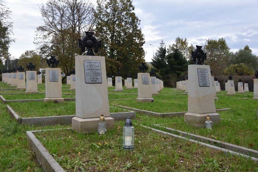 Cmentarz 202 w Tarnowie. Dzięki przeprowadzonym pracom...
