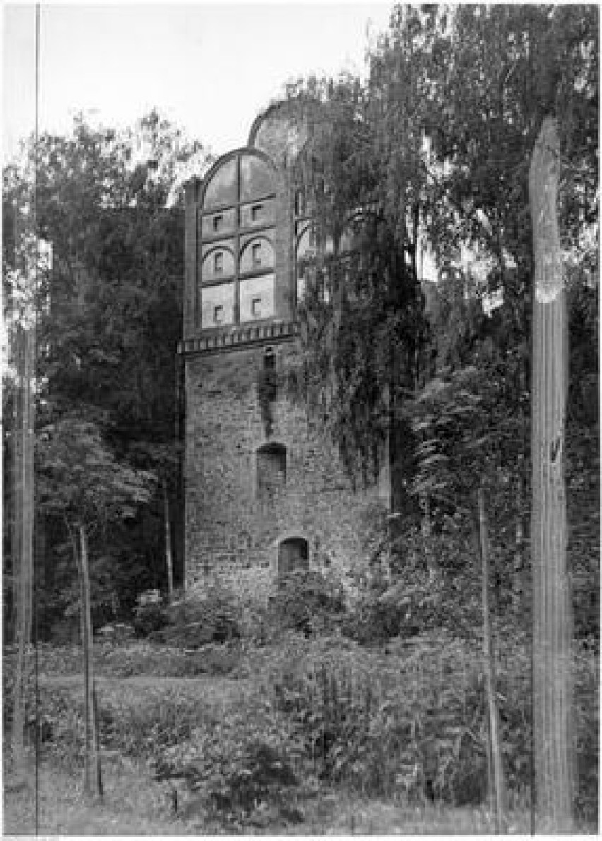 Zamek gotycko - renesansowy z XVI wieku w Drzewicy
