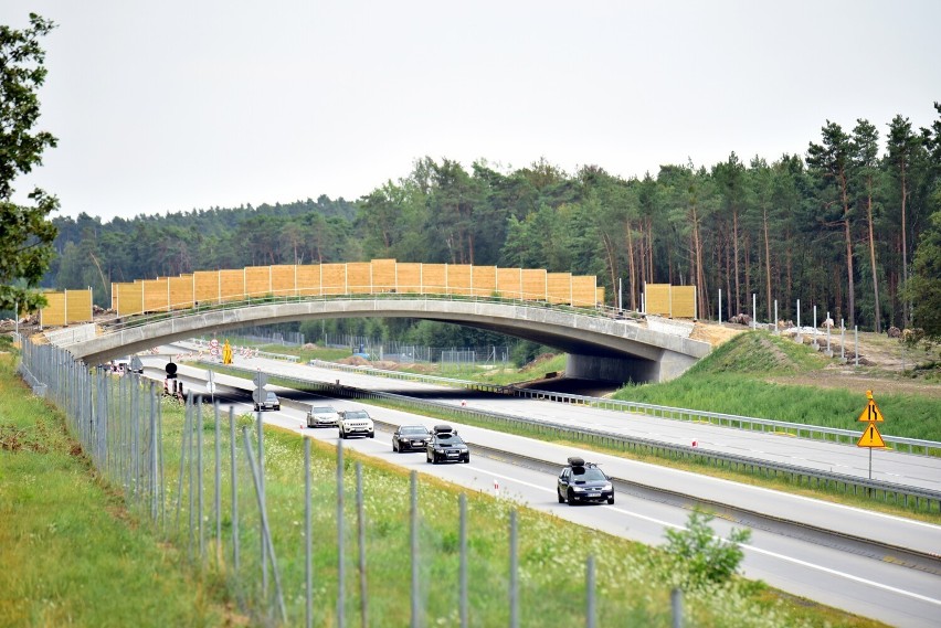 Pierwszy odcinek autostrady A18 między Żarami, a Iłową...