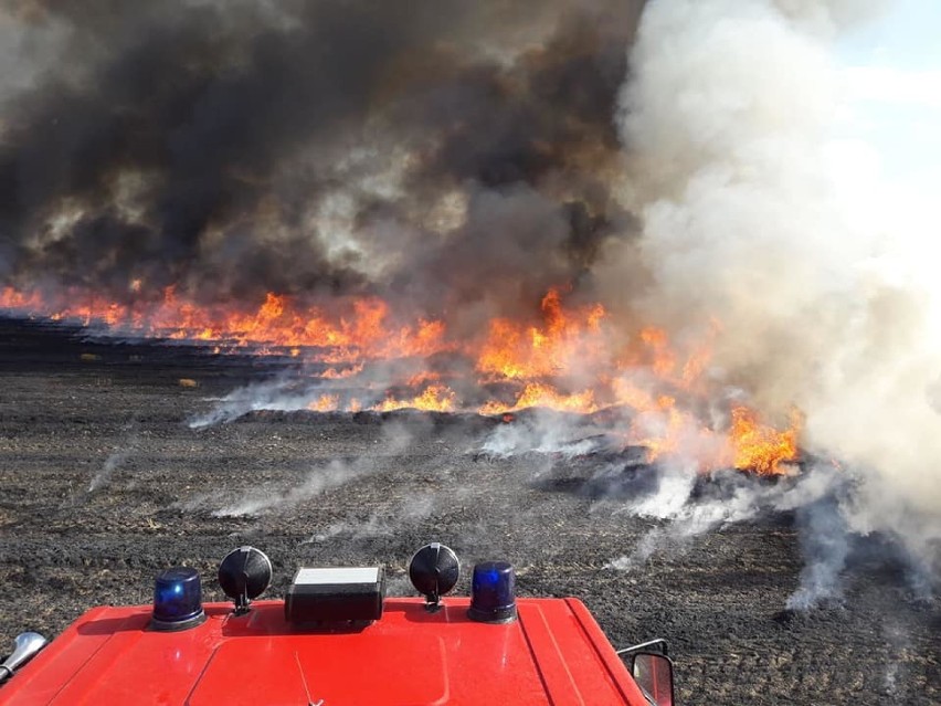 Z REGIONU. Pożar w Bugaju było widać z kilkunastu kilometrów. Trzeba było wezwać samolot gaśniczy ZDJĘCIA