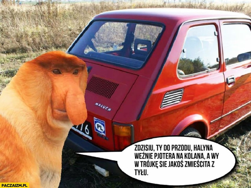 Fiat 126p obchodzi 45. urodziny! Maluszek wiecznie żywy [MEMY]