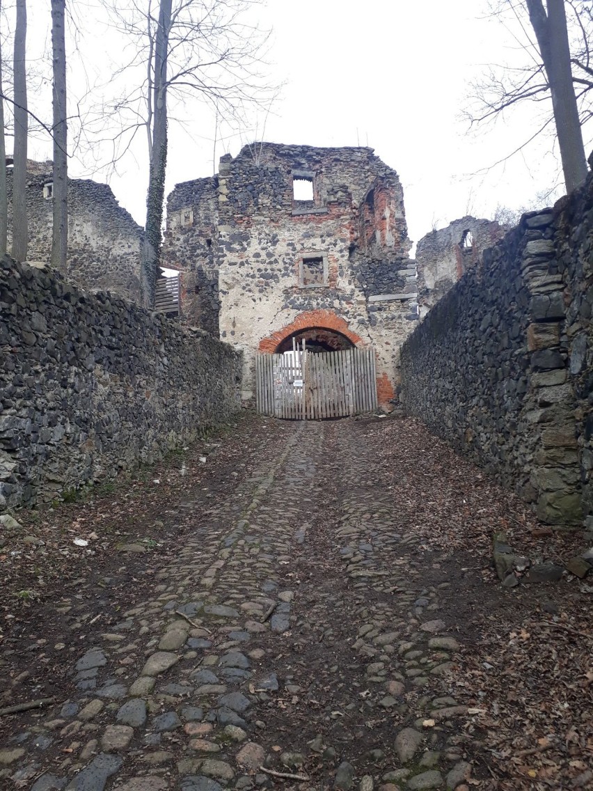  Niezbadany Zamek Gryf w Proszówce można zwiedzać jeszcze tylko przez dwa weekendy. Potem będzie on niedostępny dla turystów