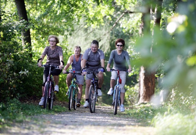 Okolice Mińska mają nam do zaoferowania dwie ciekawe trasy. Jedna liczy 32 km, a druga 20 km.

Pierwsza z nich zaczyna się w Cegłowie, gdzie przy okazji możemy zwiedzić kościół, którego ołtarz wykonał Lazarus - uczeń Wita Stwosza. 

Cegłów opuszczamy drogą asfaltową i przez kolejne 3 km jedziemy przez rezerwat jodłowy "Jedlina". Kierujemy się przez Łękawicę do Siennicy - stąd możemy zdecydować się na odbicie drogą nr 802 na północ do Mińska albo kontynuować podróż przez Kolbieł w kierunku Celestynowa. 

Druga trasa, o 12 km krótsza, startuje w Halinowie. Stamtąd ruszamy w kierunku Długiej Szlacheckiej i Długiej Kościelnej. Dalej zmierzamy do Sulejówka, gdzie znajduje się dworek "Milusin", w którym w latach 1923-1926 Marszałek Józef Piłsudski. 

Za Sulejówkiem udajemy się przez Wesołą do Marysina Wawerskiego. Możemy również zakończyć wyprawę w Sulejówku, skąd regularnie kursują pociągi Kolei Mazowieckich m.in. do Mińska.

Czytaj też: Trasy rowerowe Warszawa. Na dwóch kółkach po stolicy [PRZEGLĄD]