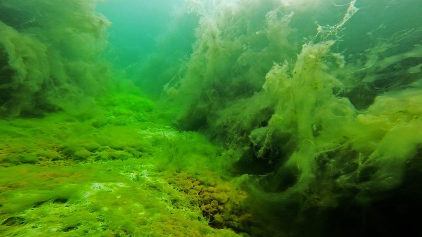 Geopark Łuk Mużakowa to idealne miejsce na weekendowy wypad...