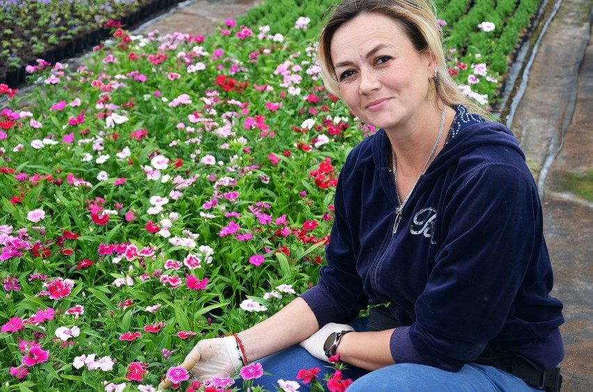 Sylwia Przybylska przyznaje, że wybór kwiatów jest ogromny
