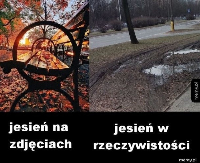 Koniec lata i początek jesieni 2019. Czyli początek sezonu na nie idę, bo za zimno...