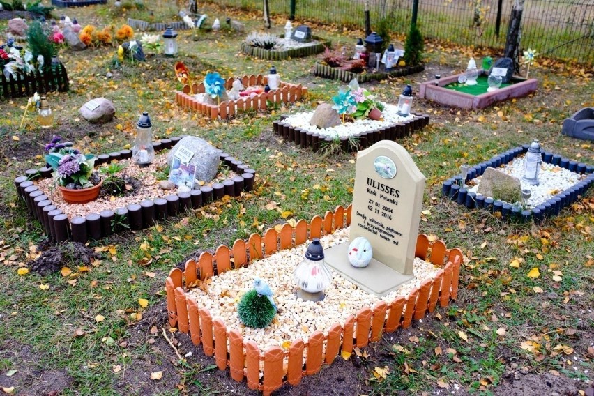 Cmentarz dla zwierząt "Tęczowy Las" w Toruniu