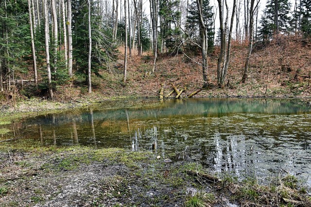 Beskidzkie Morskie Oko zaprasza turystów. Znajduje się nieco ponad godzinę drogi z Tarnowa